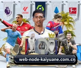 web-node-kaiyuane.com.cn APP